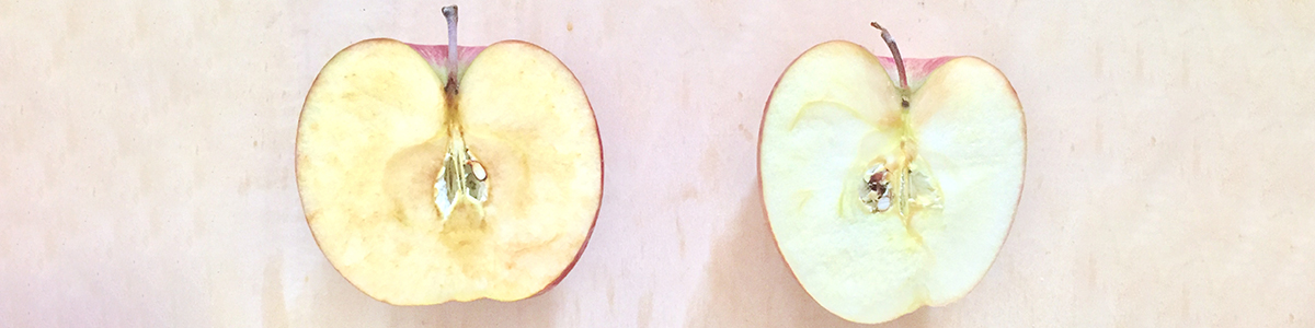 酸化ストレスはどうして起こる?活性酸素を増やさない食生活